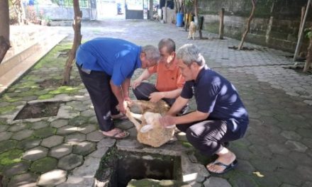 Keseruan Peringatan HAB Kemenag ke-79 di MTsN 5 Sleman Menyembelih 2 Ekor Kambing