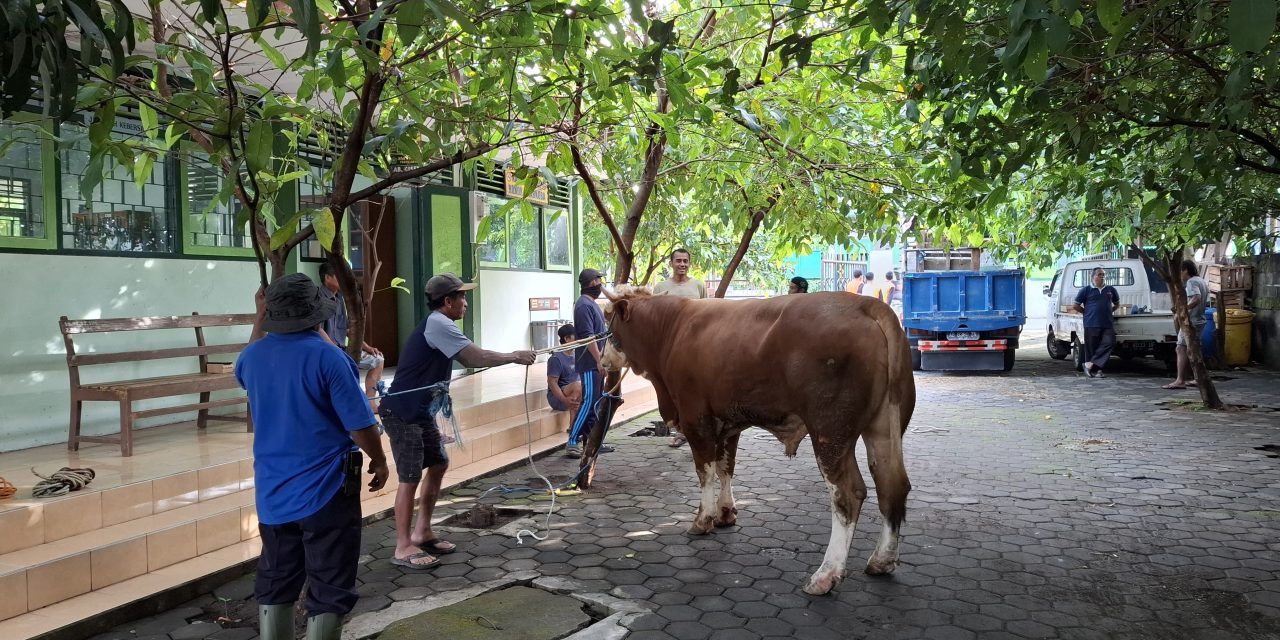 Perayaan Hari Raya Idul Adha MTsN 5 Sleman 2025 Berlangsung Semarak