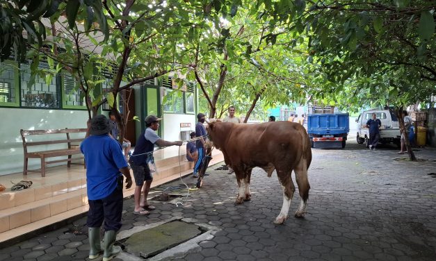 Perayaan Hari Raya Idul Adha MTsN 5 Sleman 2025 Berlangsung Semarak