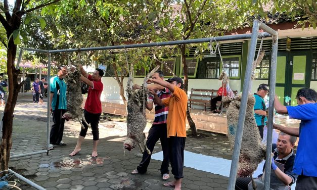 Sembelih 3 Ekor Kambing Dalam Rangka HAB Kemenag ke-80, Bentuk Tasyakuran MTsN 5 Sleman